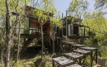 Компактный деревянный дом возвышается на сваях над дельтой Параны